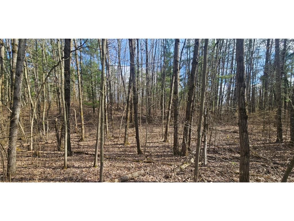 TBD Red Oak Lane Scandia Valley Twp MN 56466 7066979 image8