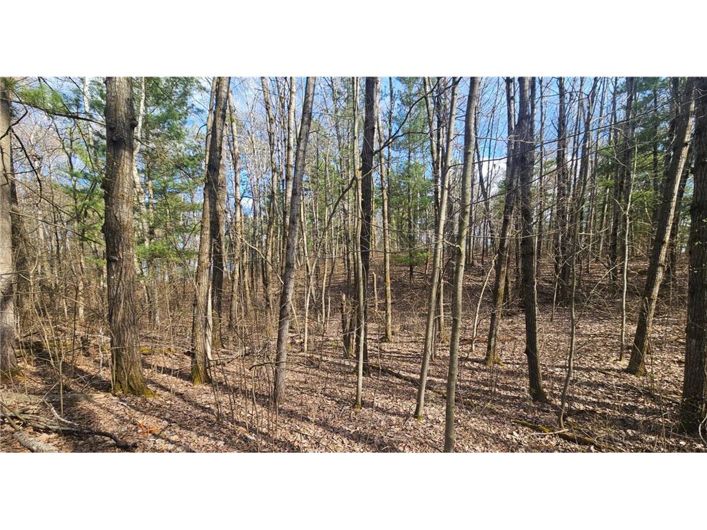TBD Red Oak Lane Scandia Valley Twp MN 56466 7066979 image9