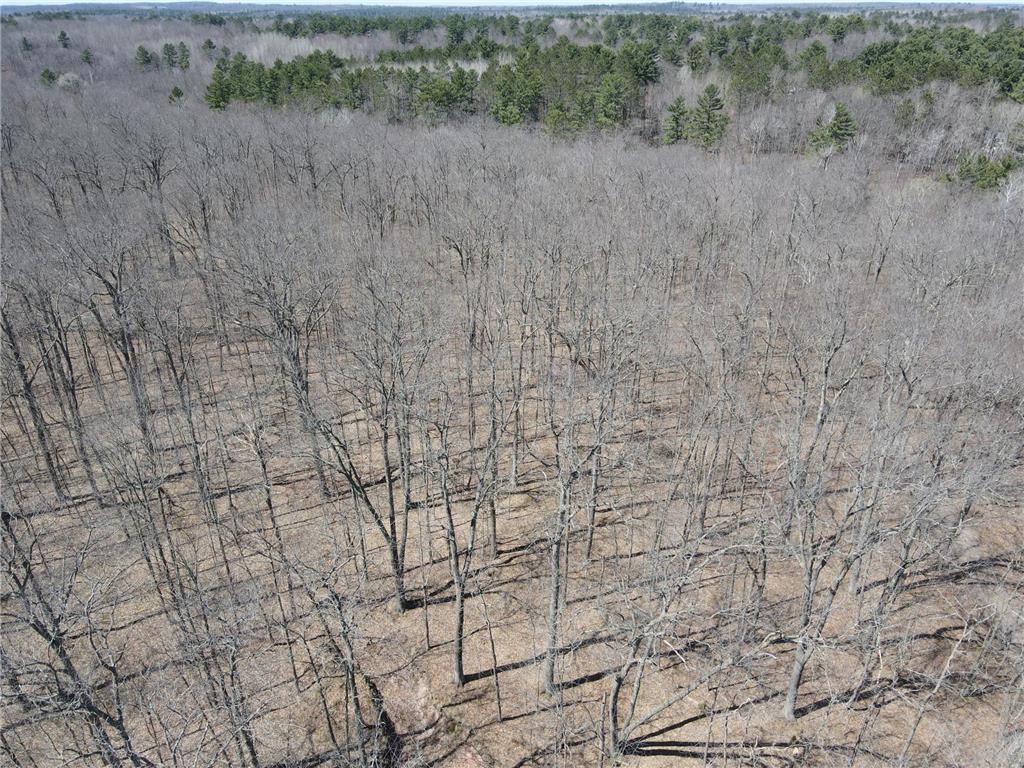 TBD Red Oak Lane Stone Lake WI 54876 - Slim Creek Flowage 7058211 image11