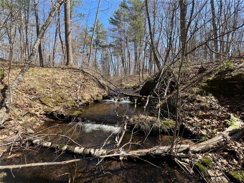 TBD Red Oak Lane Stone Lake WI 54876 - Slim Creek Flowage 7058211 image12