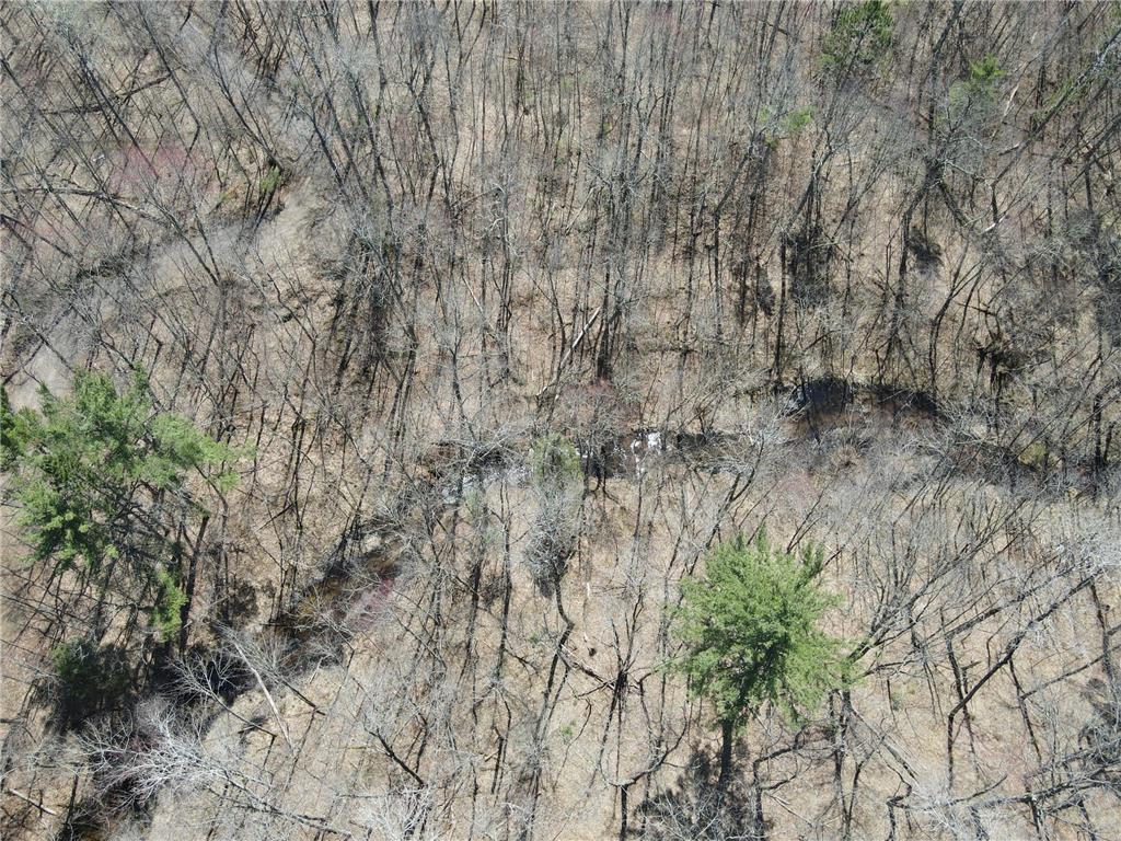 TBD Red Oak Lane Stone Lake WI 54876 - Slim Creek Flowage 7058211 image2