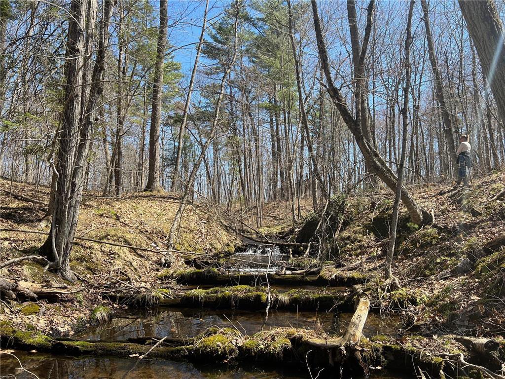 TBD Red Oak Lane Stone Lake WI 54876 - Slim Creek Flowage 7058211 image3