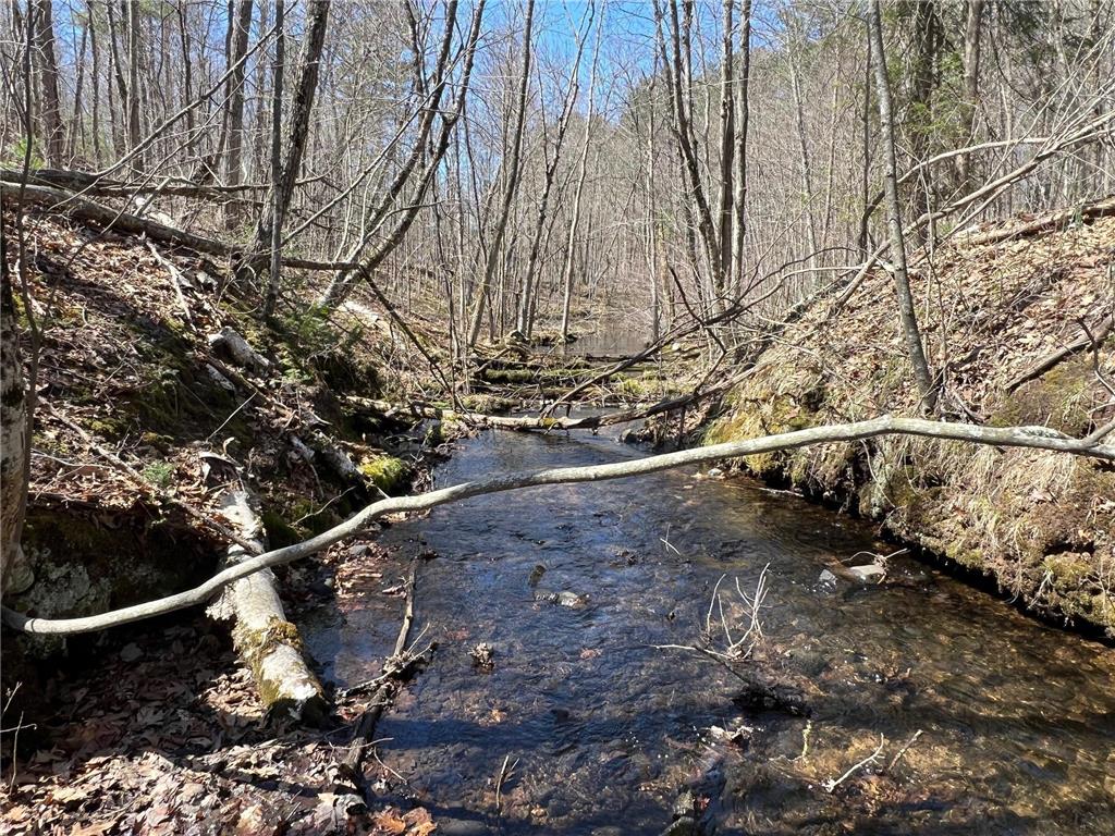 TBD Red Oak Lane Stone Lake WI 54876 - Slim Creek Flowage 7058211 image4