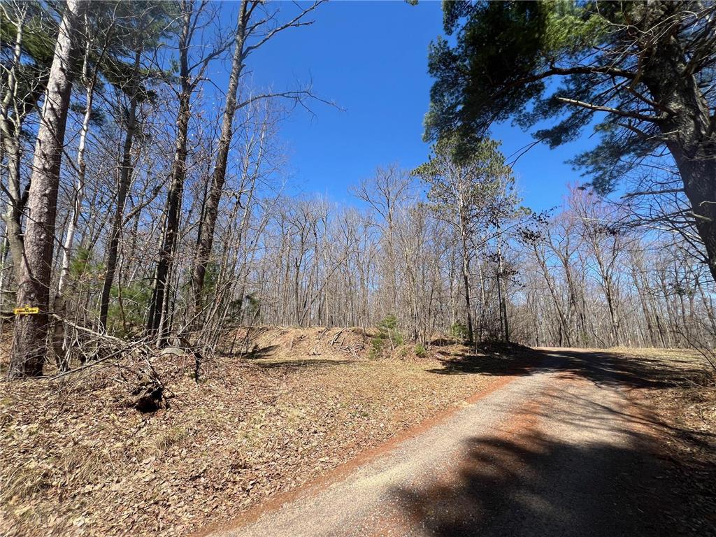 TBD Red Oak Lane Stone Lake WI 54876 - Slim Creek Flowage 7058211 image5