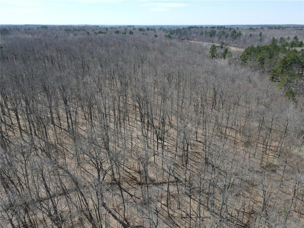 TBD Red Oak Lane Stone Lake WI 54876 - Slim Creek Flowage 7058211 image8