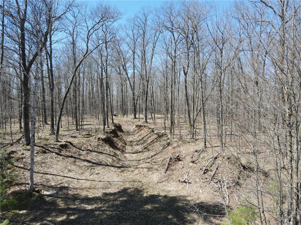 TBD Red Oak Lane Stone Lake WI 54876 - Slim Creek Flowage 7058211 image9