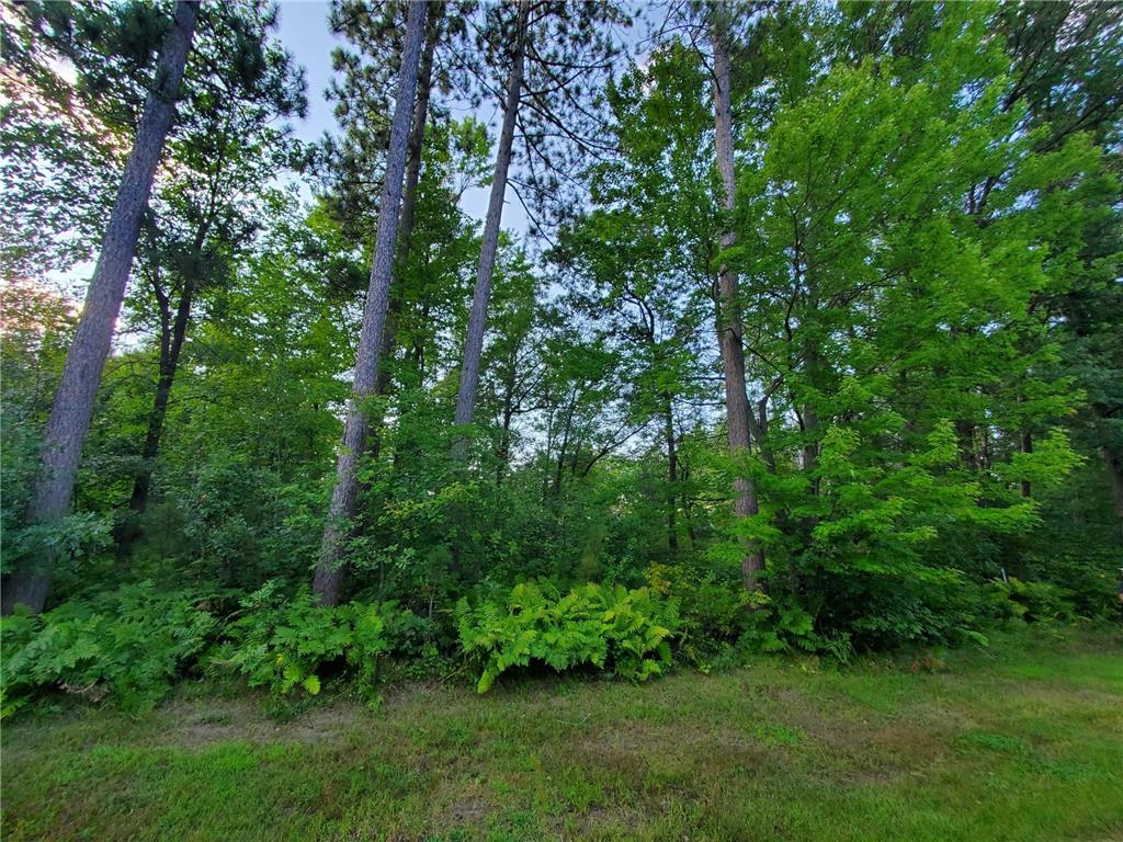 TBD Redfern Trl Crow Wing Twp MN 56401 6791989 image1