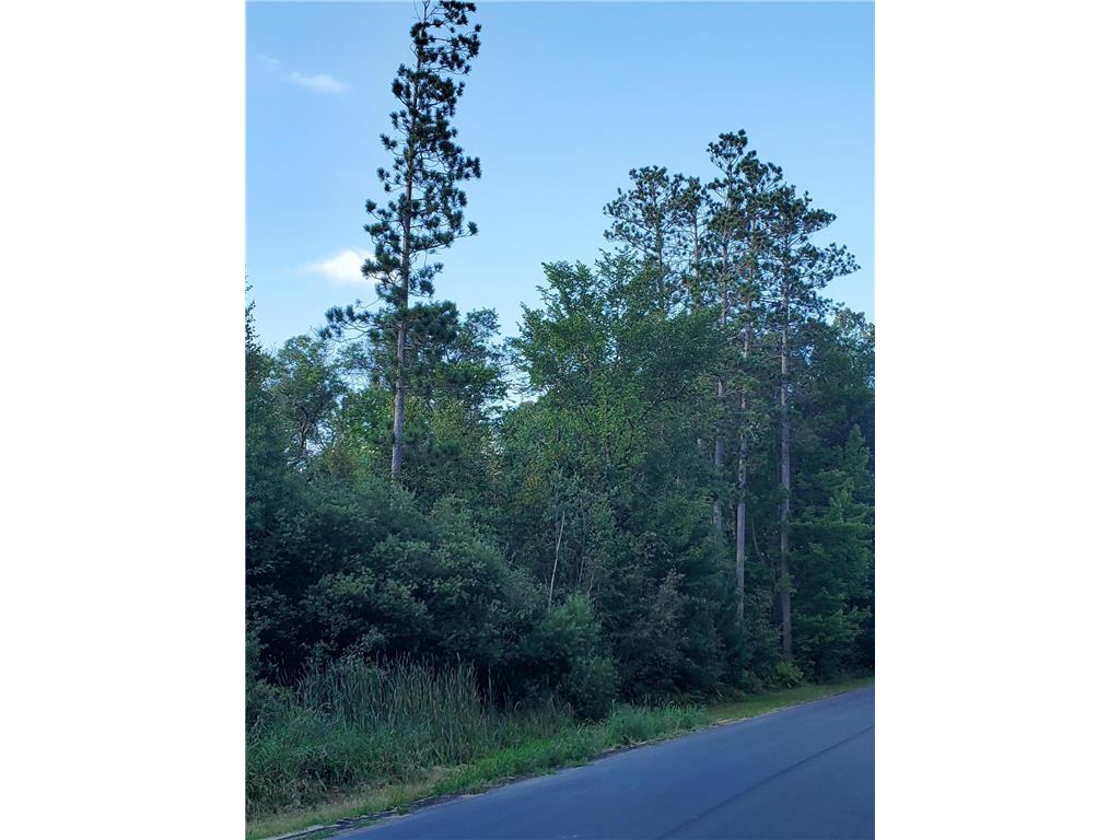 TBD Redfern Trl Crow Wing Twp MN 56401 6791989 image2