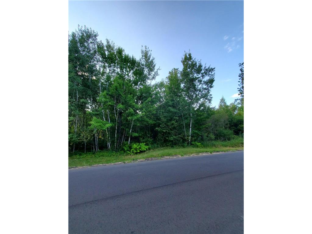 TBD Redfern Trl Crow Wing Twp MN 56401 6791989 image3