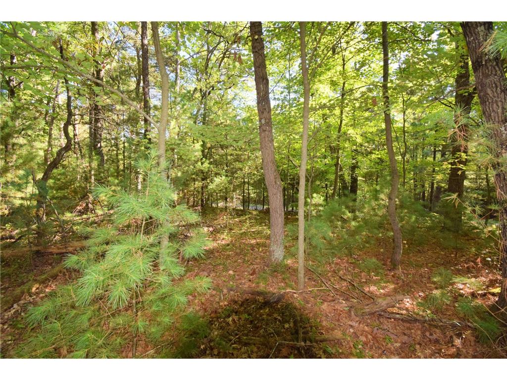 TBD Redwing Trailway Jackson Twp WI 54830 6796524 image10