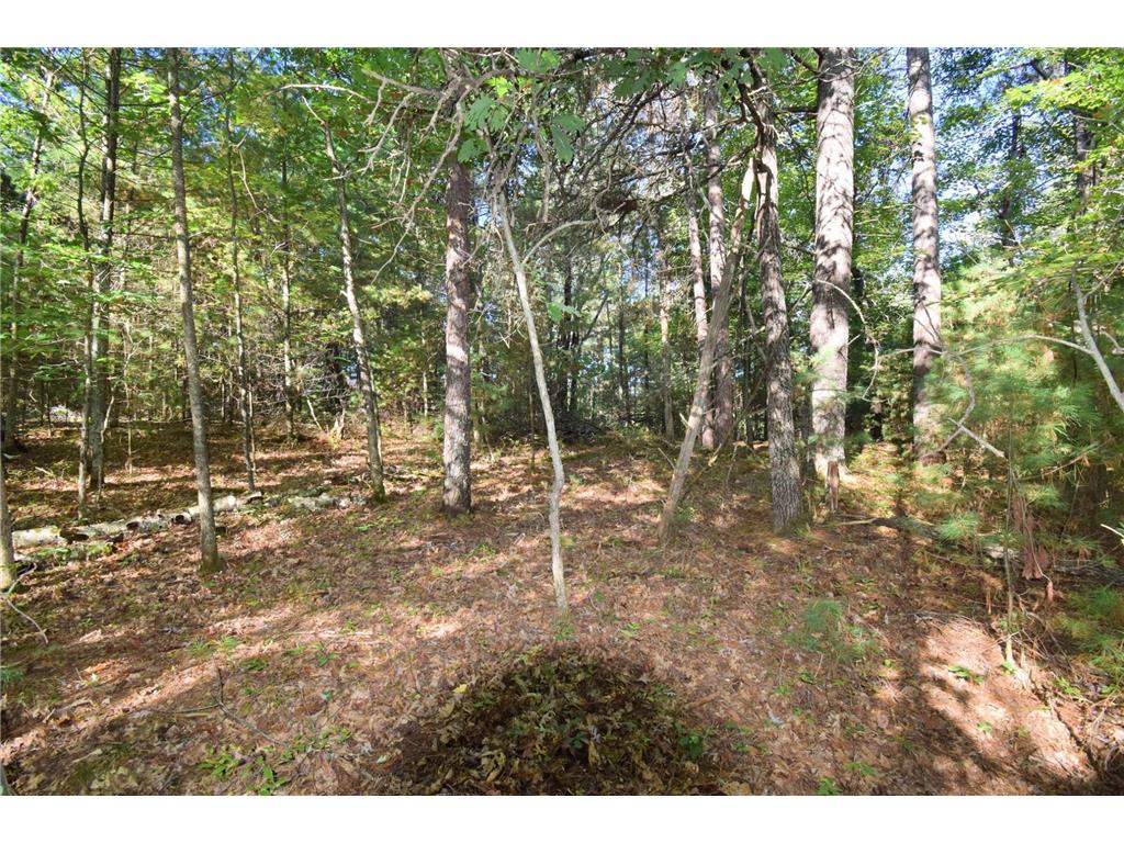 TBD Redwing Trailway Jackson Twp WI 54830 6796524 image16