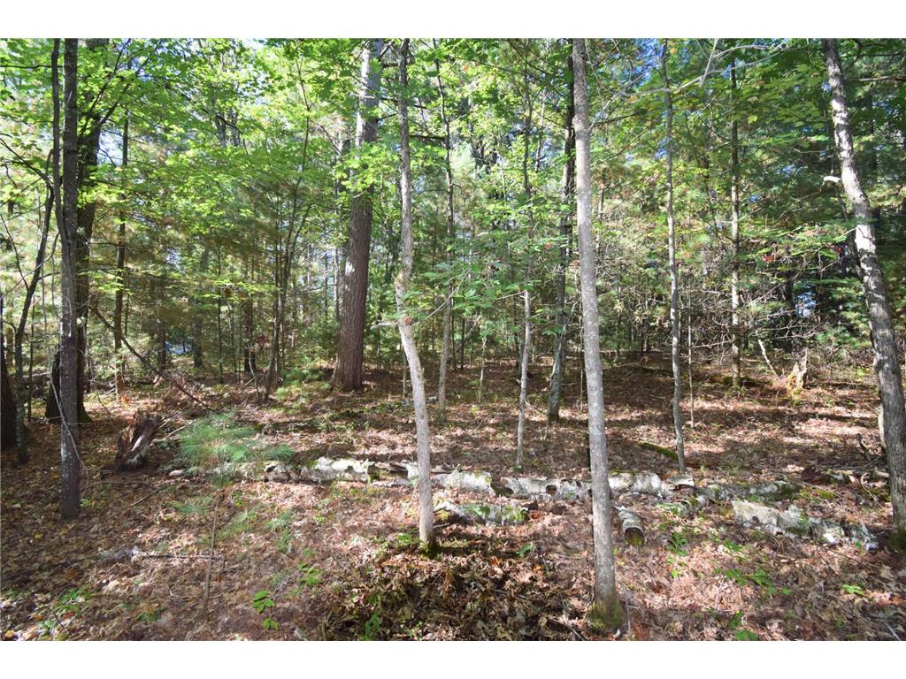 TBD Redwing Trailway Jackson Twp WI 54830 6796524 image17