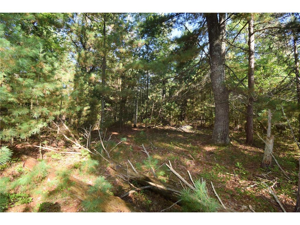 TBD Redwing Trailway Jackson Twp WI 54830 6796524 image2