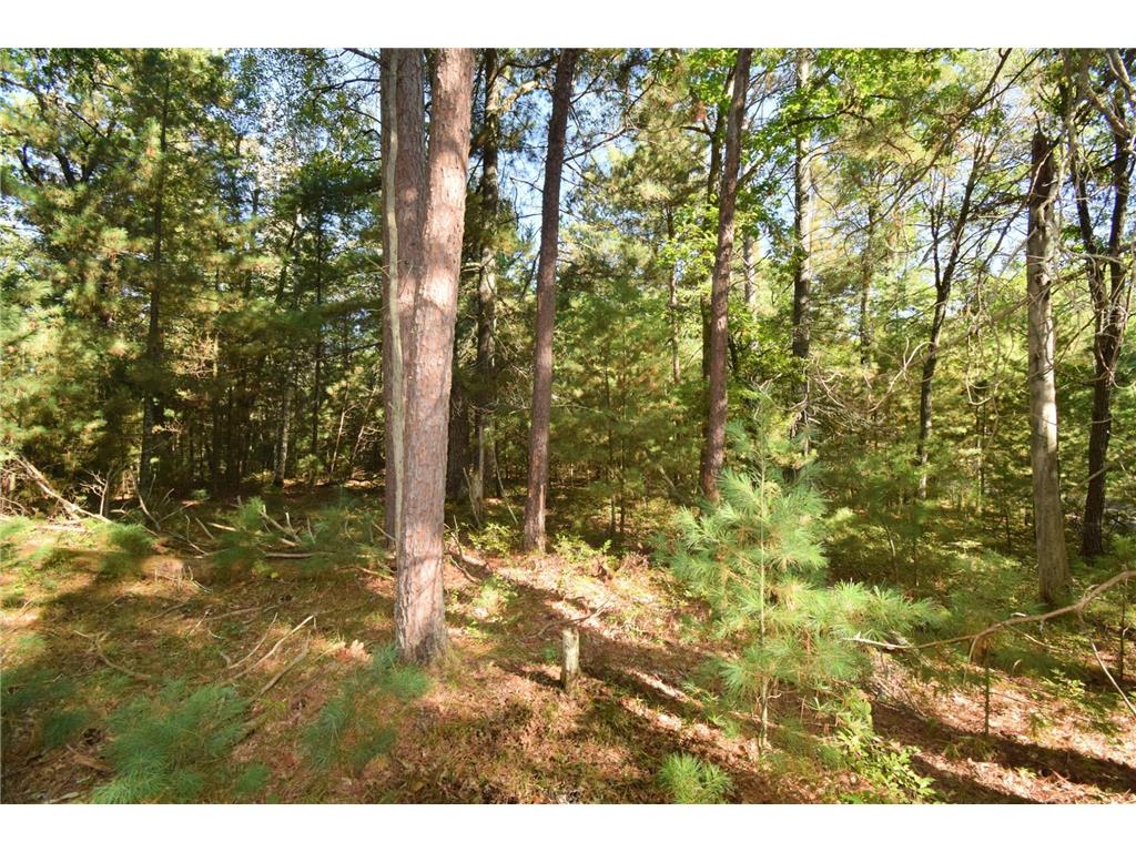 TBD Redwing Trailway Jackson Twp WI 54830 6796524 image6