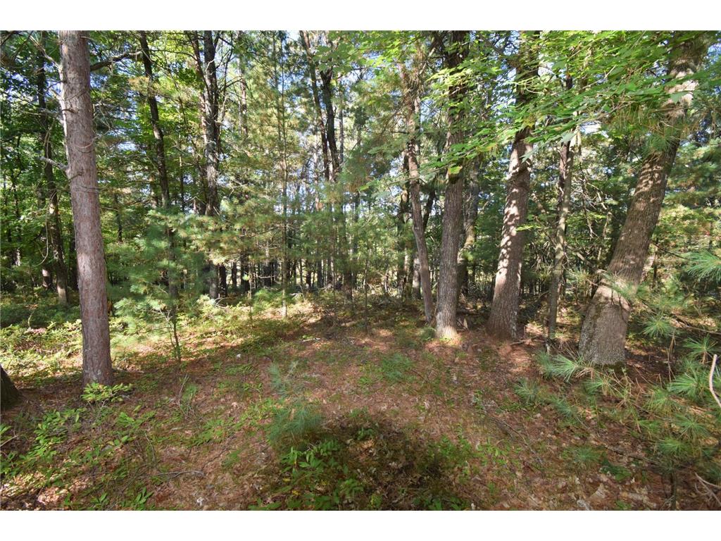 TBD Redwing Trailway Jackson Twp WI 54830 6796524 image7