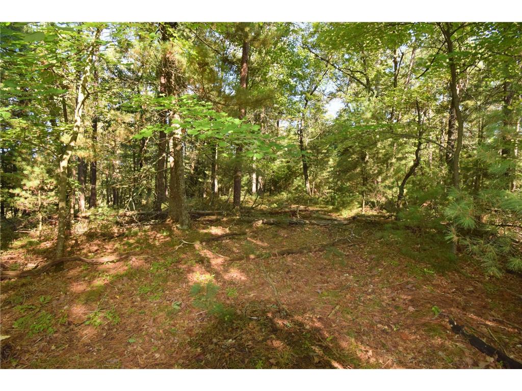 TBD Redwing Trailway Jackson Twp WI 54830 6796524 image8