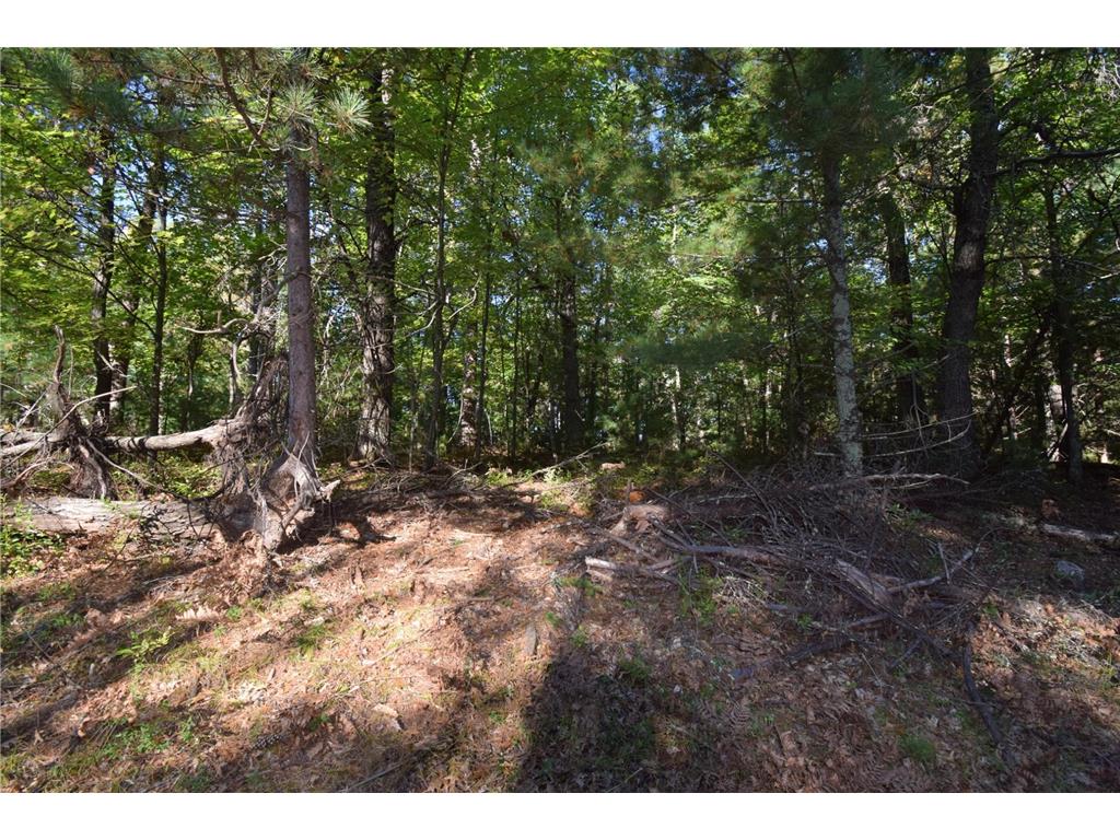 TBD Redwing Trailway Jackson Twp WI 54830 6796524 image9