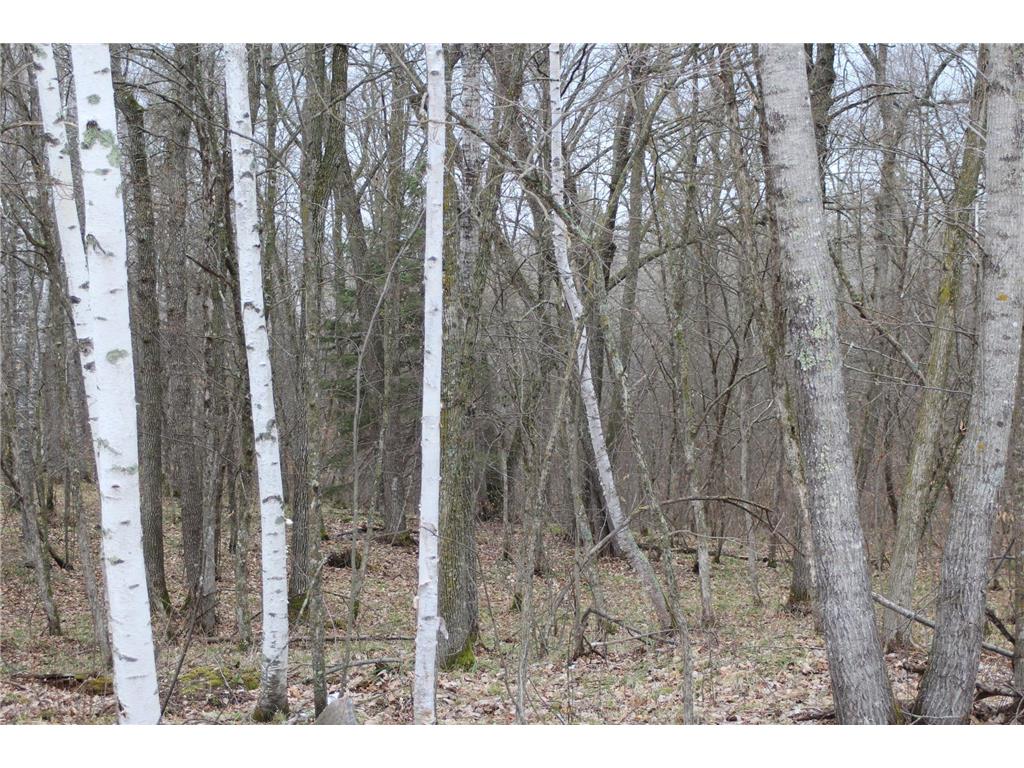 Lot 5 Block 2 Wilderness Bay Drive Park Rapids MN 56470 - Little Mantrap Lake 6367514 image1