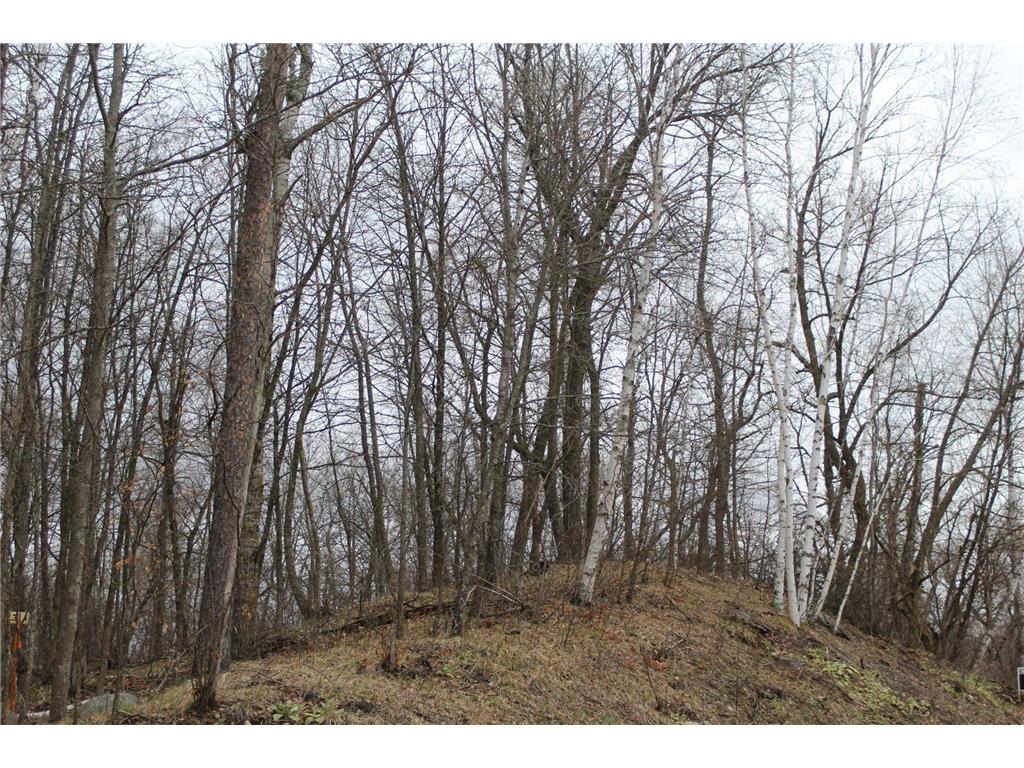 Lot 4 Block 2 Wilderness Bay Drive Park Rapids MN 56470 - Little Mantrap Lake 6367544 image1