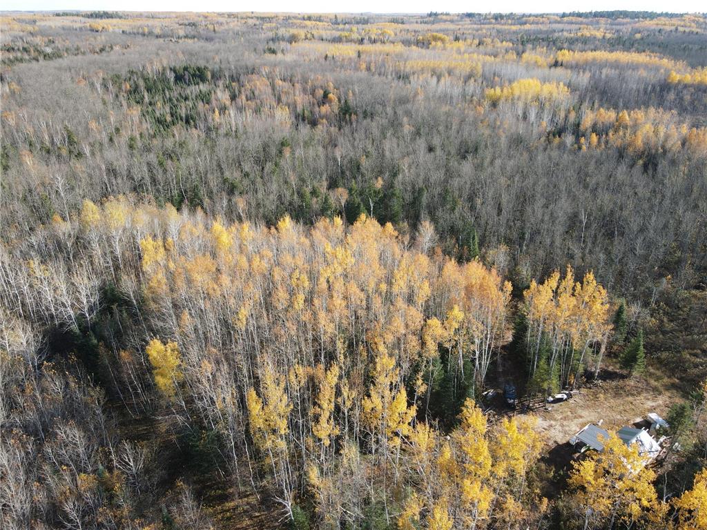 TBD Rice Rapids Road Effie MN 56639 7046937 image10