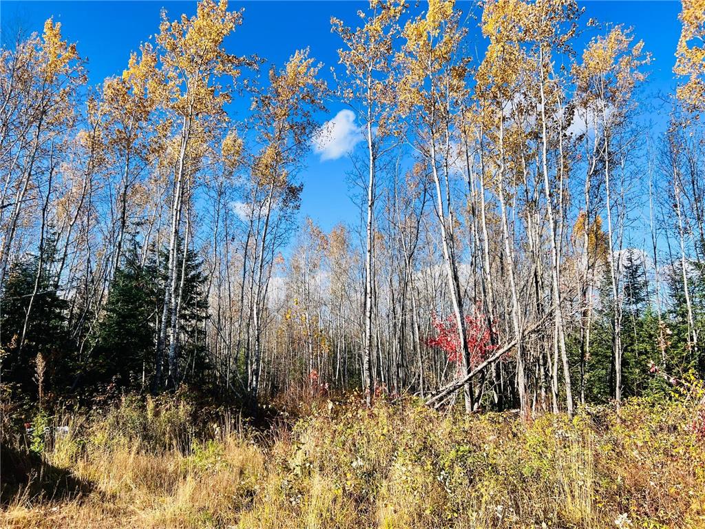 TBD Rice Rapids Road Effie MN 56639 7046937 image11