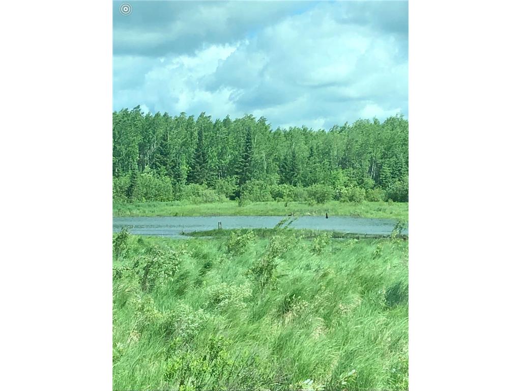 TBD Rice Rapids Road Effie MN 56639 7046937 image16