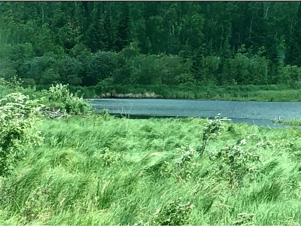TBD Rice Rapids Road Effie MN 56639 7046937 image17