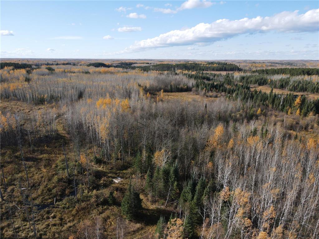TBD Rice Rapids Road Effie MN 56639 7046937 image2