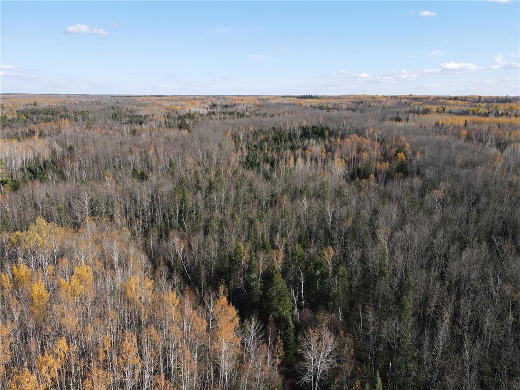 TBD Rice Rapids Road Effie MN 56639 7046937 image4