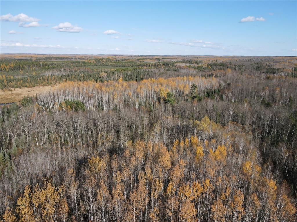 TBD Rice Rapids Road Effie MN 56639 7046937 image5