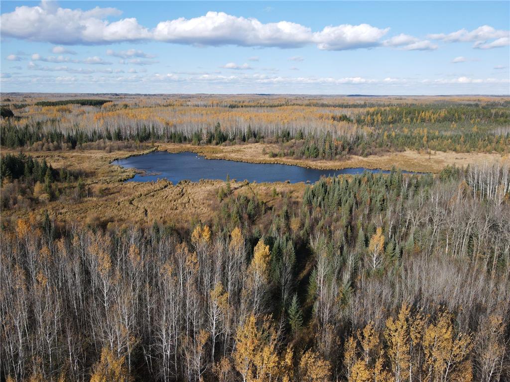 TBD Rice Rapids Road Effie MN 56639 7046937 image6