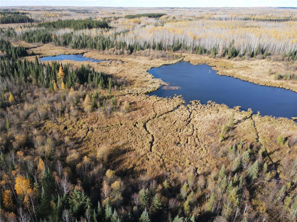 TBD Rice Rapids Road Effie MN 56639 7046937 image9
