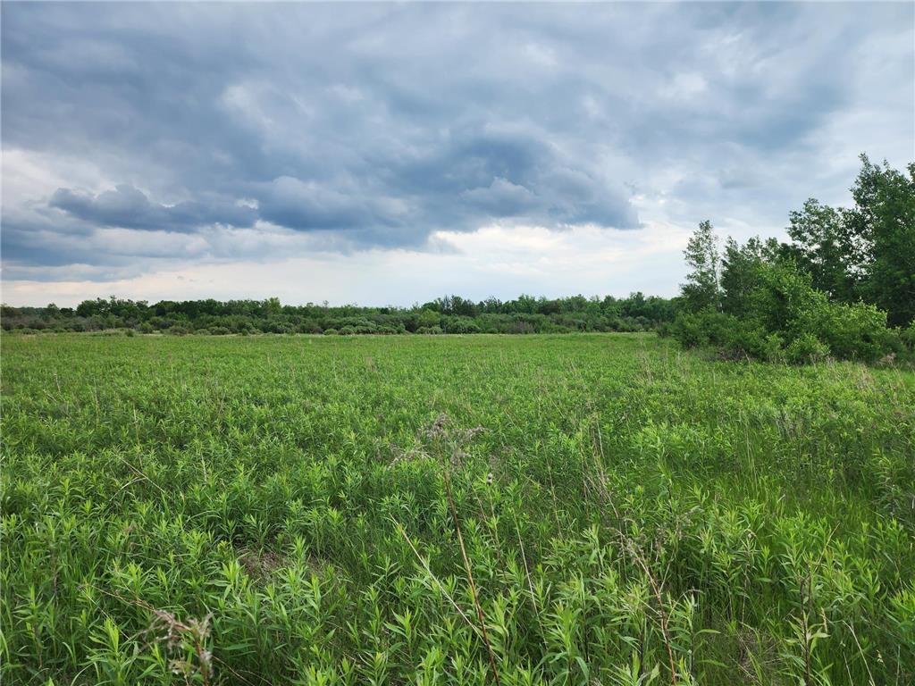 TBD Rice Road Mission Creek Twp MN 55037 6752381 image1