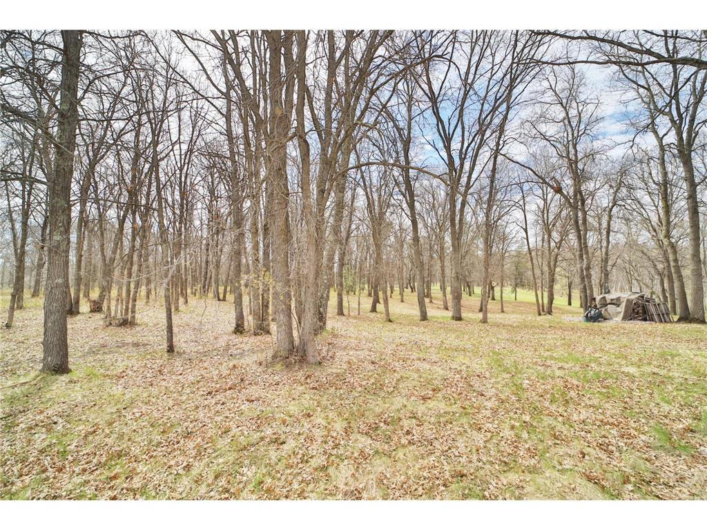 TBD Ridge Road Motley MN 56466 7000572 image3