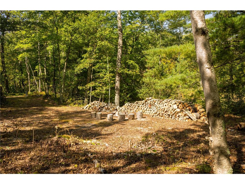 TBD Ridge View Lane NE Longville MN 56655 - Woman 6785729 image10