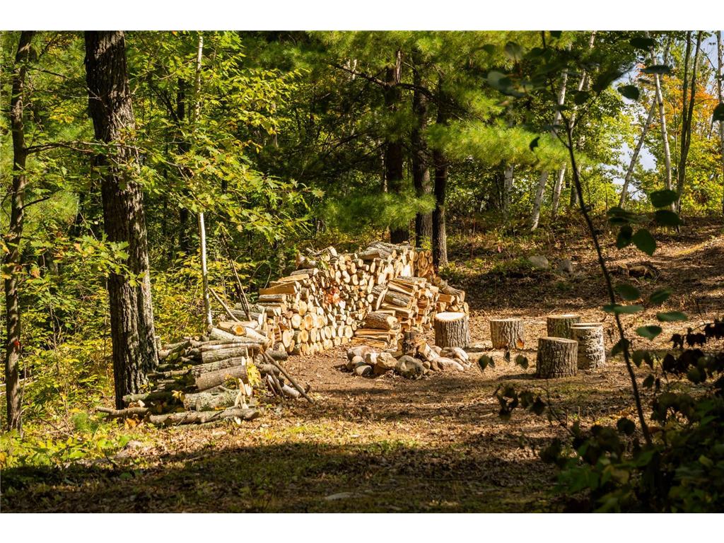 TBD Ridge View Lane NE Longville MN 56655 - Woman 6785729 image14