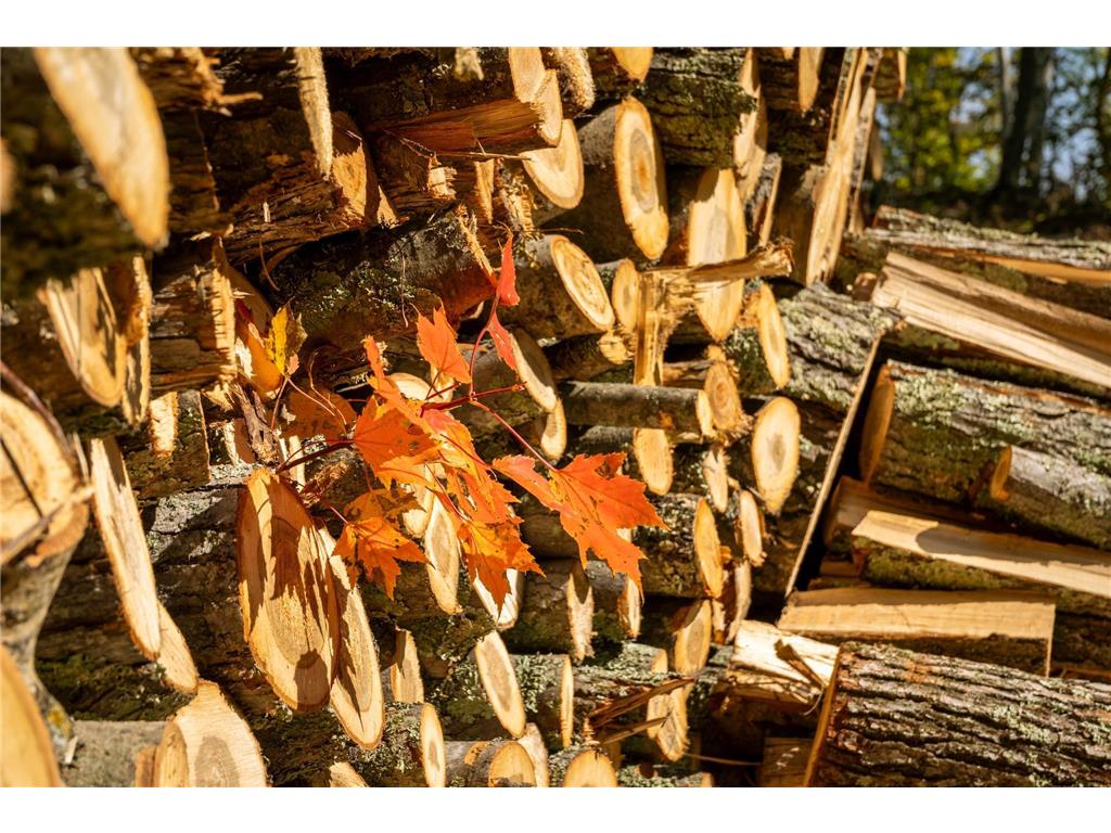 TBD Ridge View Lane NE Longville MN 56655 - Woman 6785729 image15