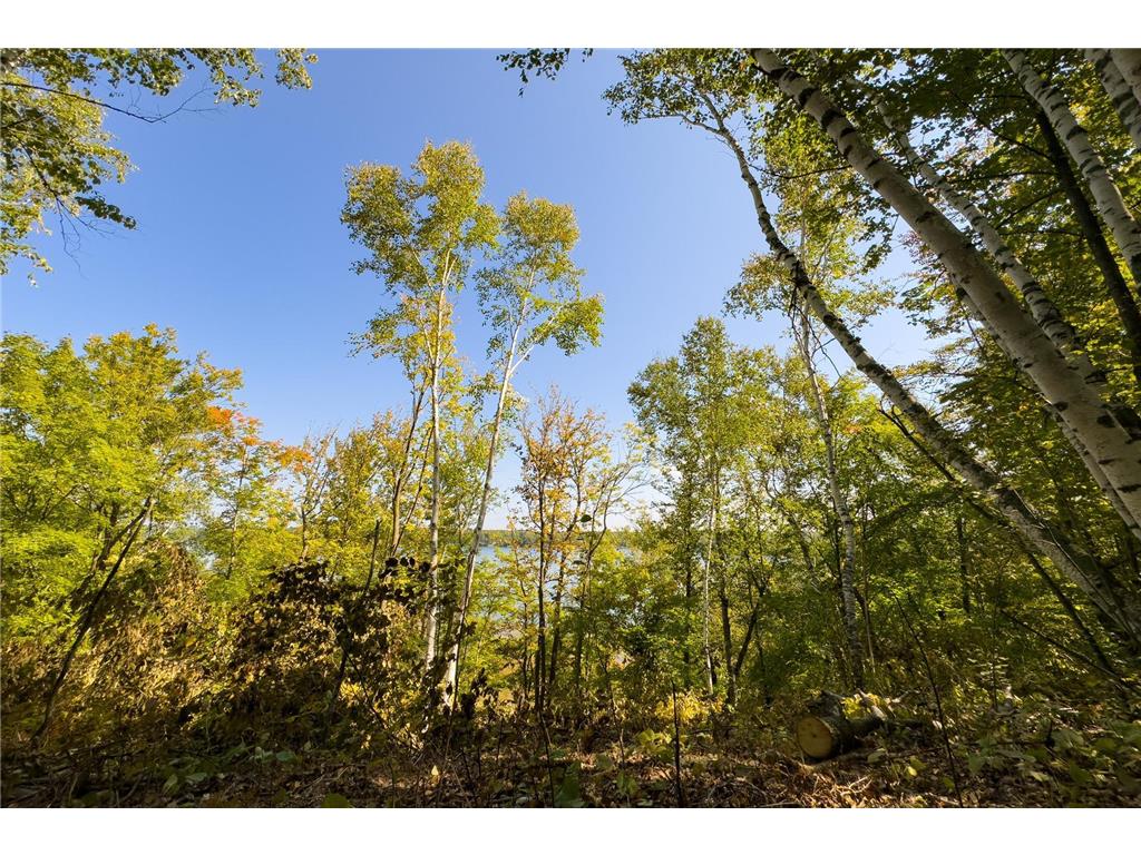 TBD Ridge View Lane NE Longville MN 56655 - Woman 6785729 image17