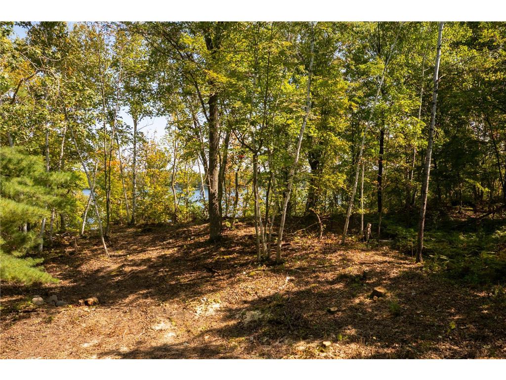 TBD Ridge View Lane NE Longville MN 56655 - Woman 6785729 image18