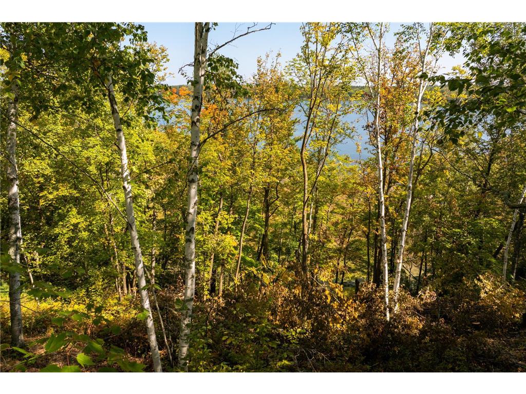 TBD Ridge View Lane NE Longville MN 56655 - Woman 6785729 image19