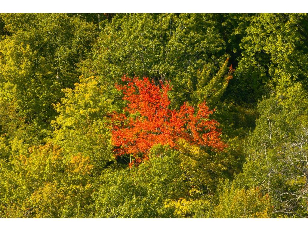 TBD Ridge View Lane NE Longville MN 56655 - Woman 6785729 image25