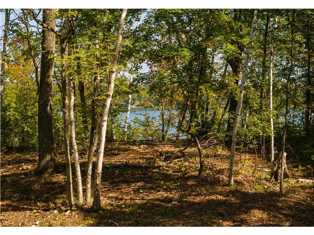 TBD Ridge View Lane NE Longville MN 56655 - Woman 6785729 image28