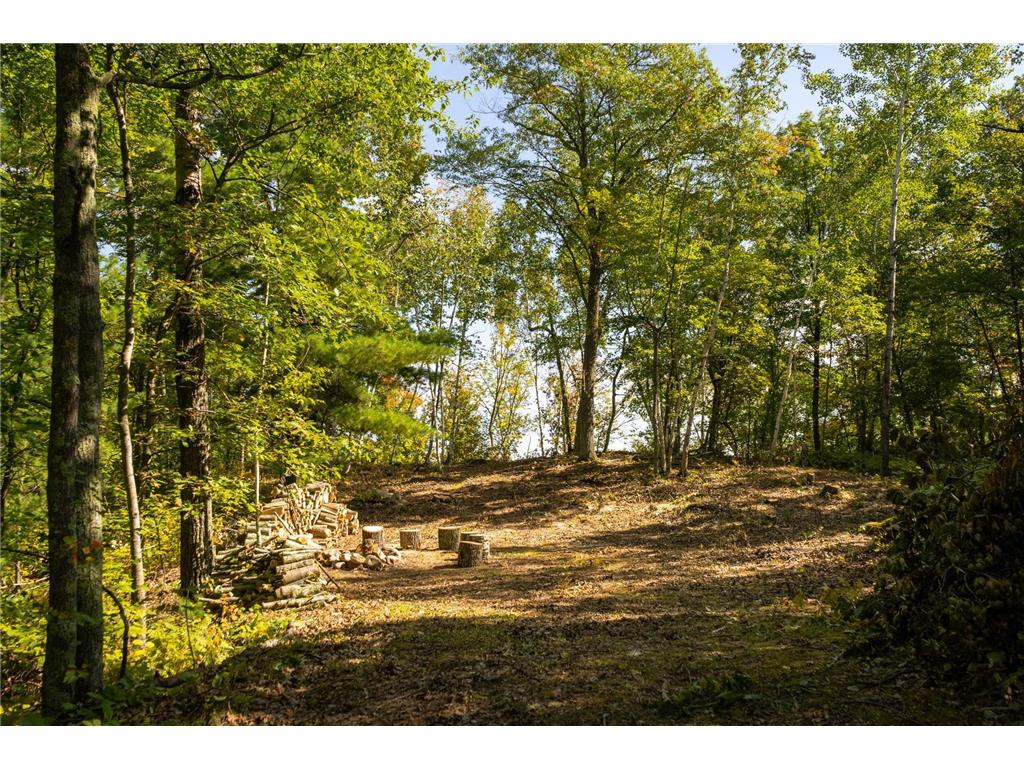 TBD Ridge View Lane NE Longville MN 56655 - Woman 6785729 image6