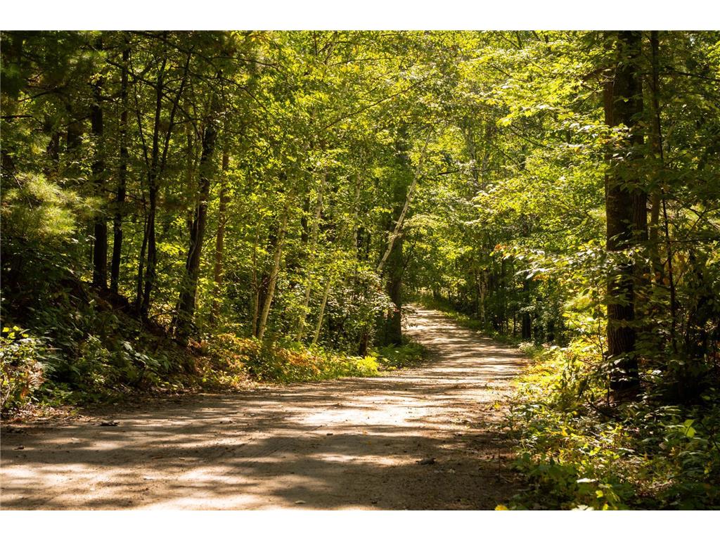 TBD Ridge View Lane NE Longville MN 56655 - Woman 6785729 image7