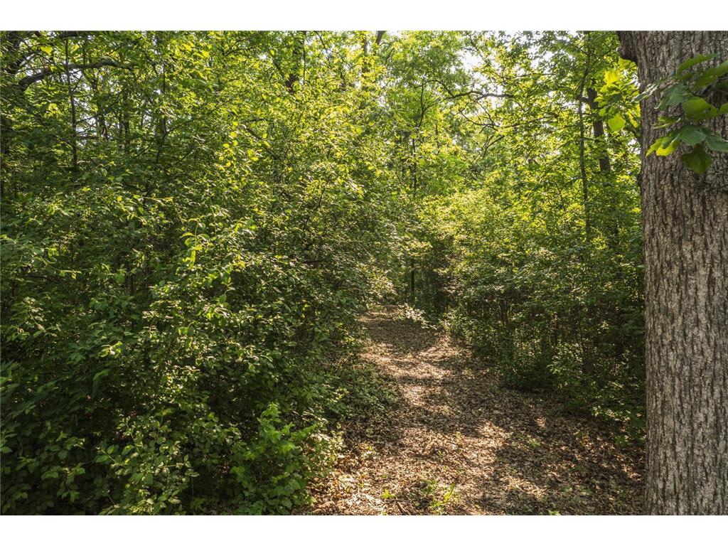 TBD Ridgeview Lane W Detroit Lakes MN 56501 7103111 image10