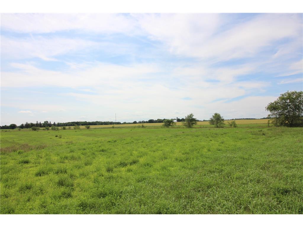 TBD Ridgeview Street Kimball MN 55353 7046658 image12