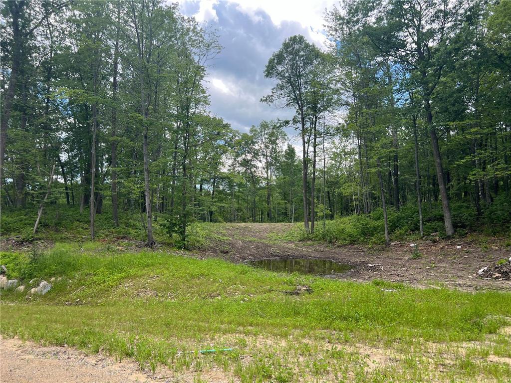 TBD Ridgeway Lane Walker MN 56484 6564109 image1