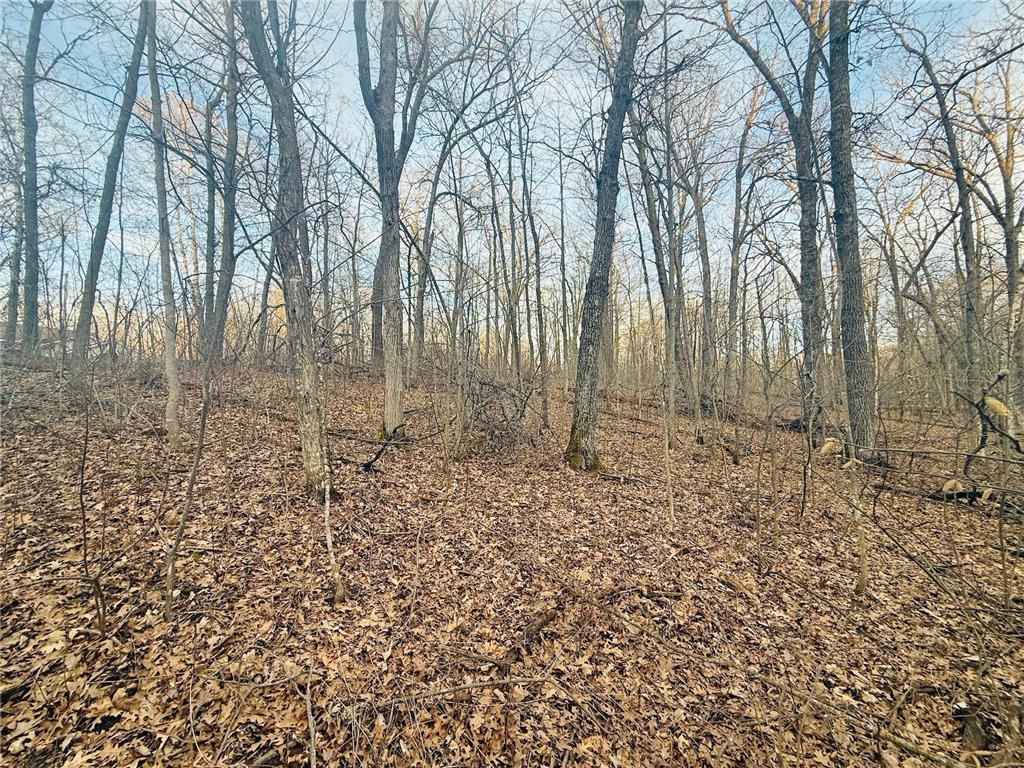 TBD Ringneck Roost Garrison MN 56450 7060445 image6