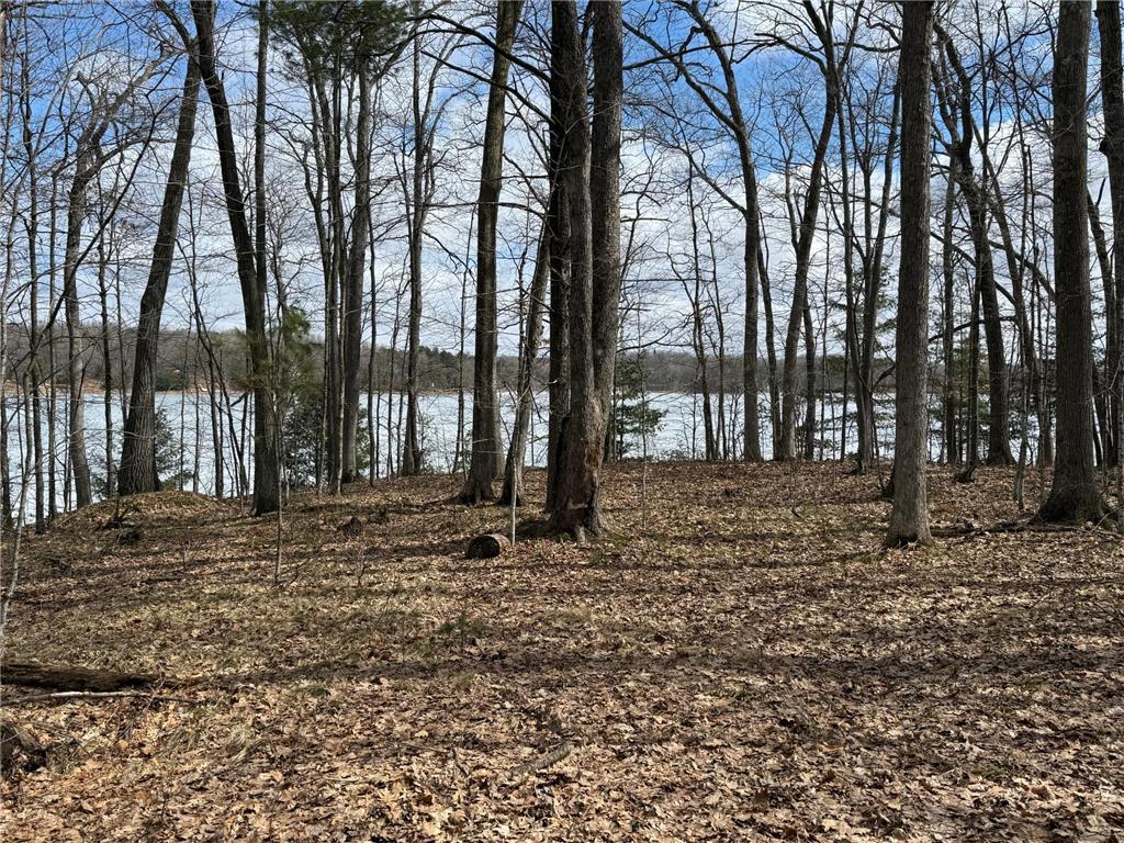 TBD Ripley Spur Road Sarona WI 54870 - Ripley Lake 7044516 image14