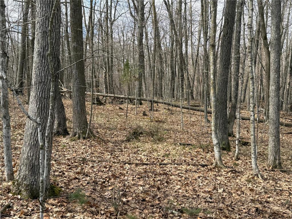 TBD Ripley Spur Road Sarona WI 54870 - Ripley Lake 7044516 image23